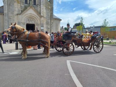 Calèche de prestige pour votre mariage