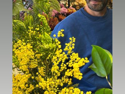 Auque & Vong Artisan Fleuriste