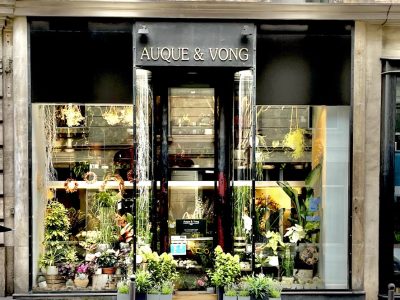 Auque & Vong Artisan Fleuriste