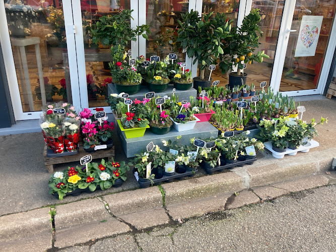 A Fleurs de Pots LYON 9 ème