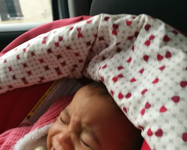 A.L.C Décoration Florale evenementielle