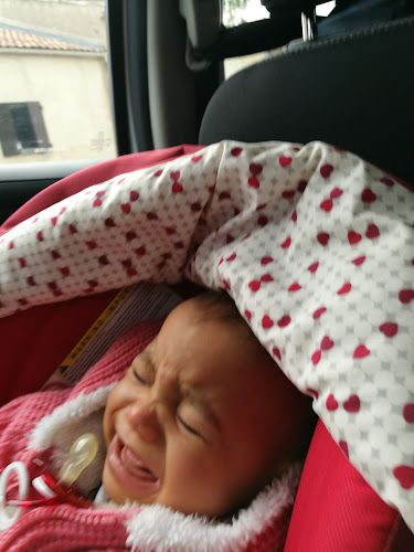 A.L.C Décoration Florale evenementielle