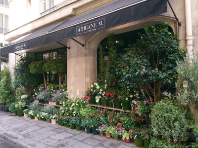 Adriane M. Fleuriste Paris