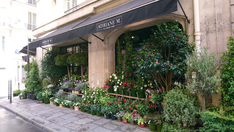 Adriane M. Fleuriste Paris