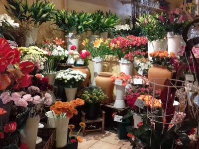 Angelique cote fleurs capestang