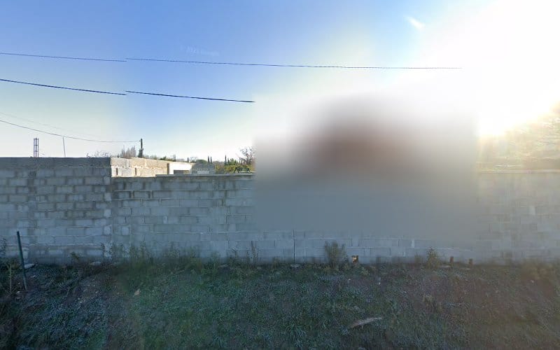 Animation Avignon Vaucluse