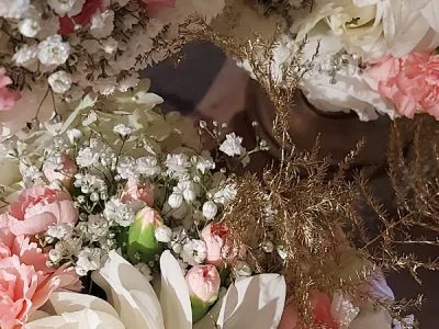 Anyflowers