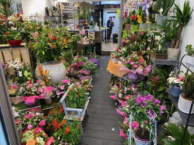 Art Flore'M / Fleuriste INTERFLORA