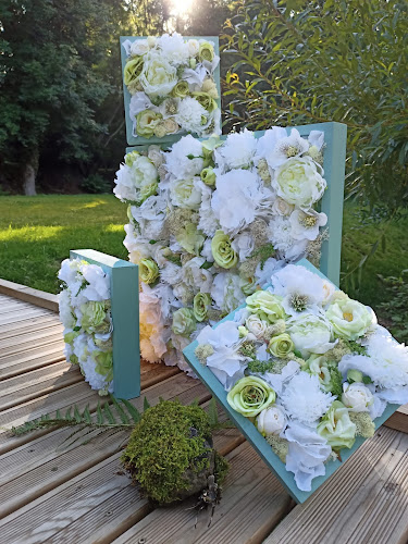 Atelier des Merveilles - Nicolas Mazoyer