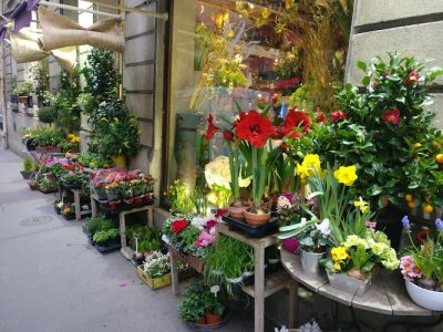 ATELIER FLASH FLEURS | Fleuriste Paris