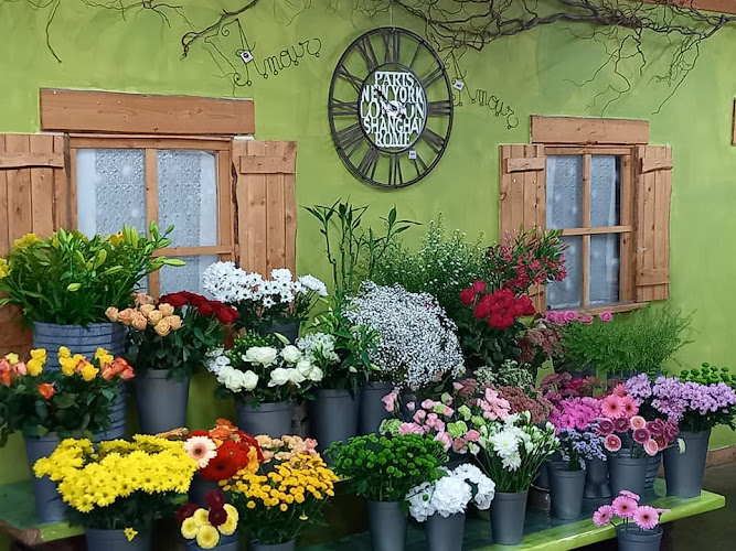 Atelier Floral Pollen, Artisan Fleuriste Maclas