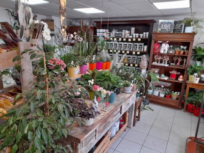 Atelier Nature sauvage