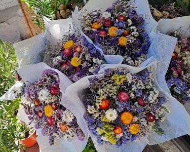Aura Flor Hélène Jean, Artisan Fleuriste