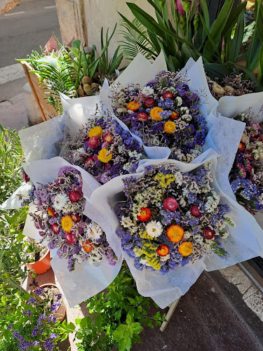 Aura Flor Hélène Jean, Artisan Fleuriste