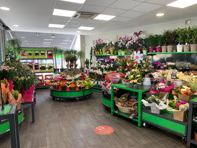 Autant de Fleurs Fleuriste Aubagne