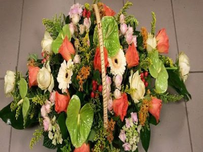 Aux Albères Fleuries