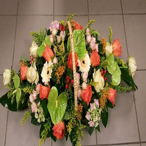 Aux Albères Fleuries