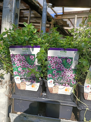 Aux Fleurs Du Soleil /Sébastien Linossier