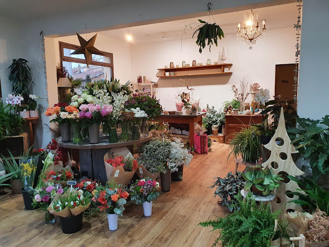 Aux Trois Clématites