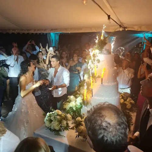 Avi Dan Traiteur Cacher