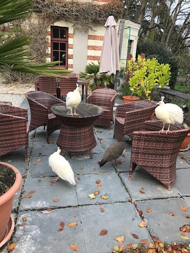 Belle Poule Réception