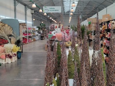 Bianchini International