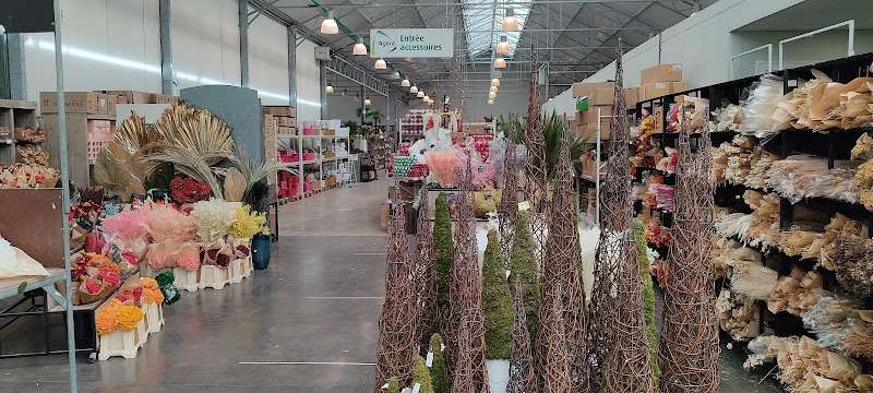 Bianchini International