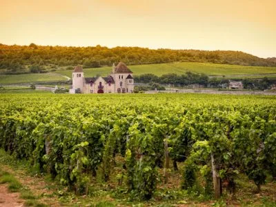 Bienvenue en Bourgogne