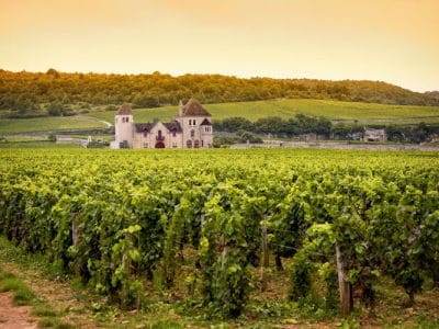 Bienvenue en Bourgogne