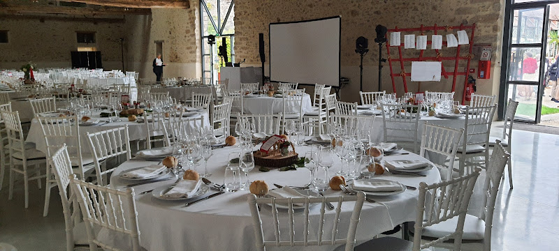 Blue Sound Animation