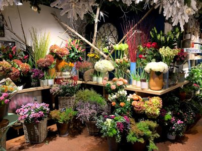 Boule de Neige Fleuriste