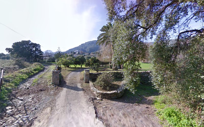 Boutique de robes de mariées la Divine