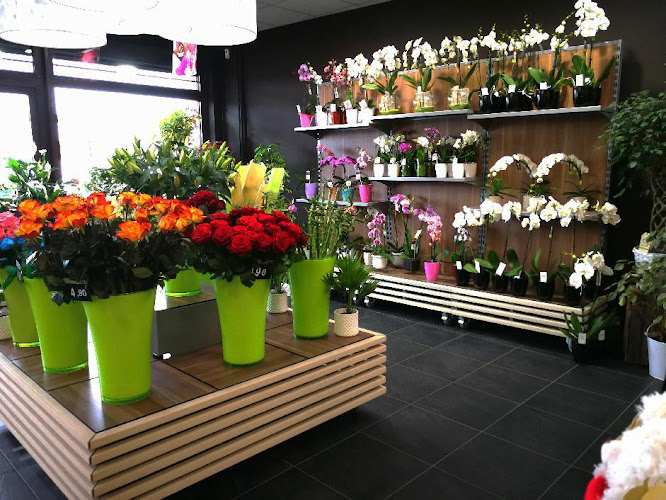 Carrément Fleurs - Fleuriste Clermont-Ferrand 63 - Livraison de fleurs à