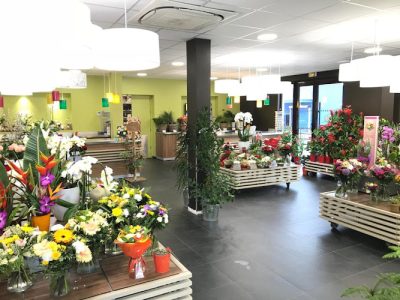 Carrément Fleurs - Fleuriste Montauban Albasud 82 - Livraison de fleurs à