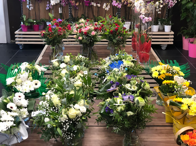 Carrément Fleurs - Fleuriste Montauban Nord 82 - Livraison de fleurs à domicile