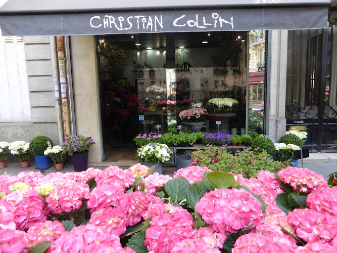 Christian Collin Fleuriste - Pascal May