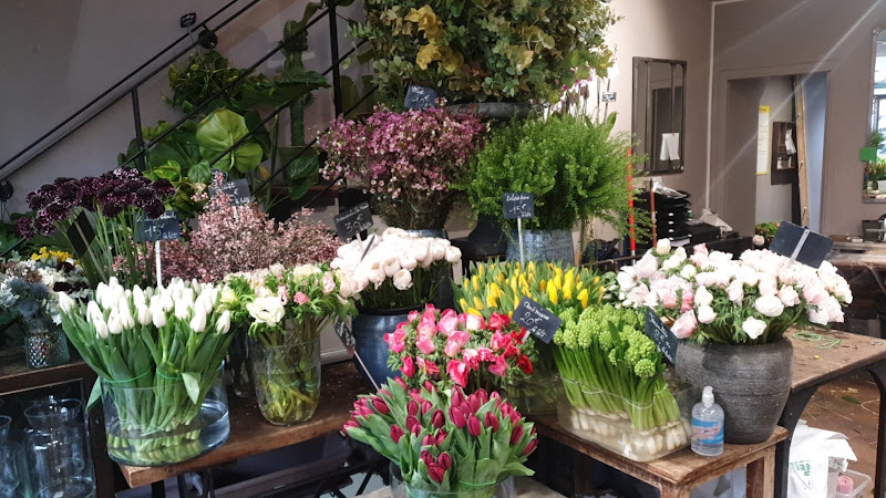 Collin Fleurs | Neuilly-sur-Seine