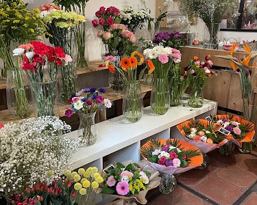 Comptoir des fleurs Lacaune