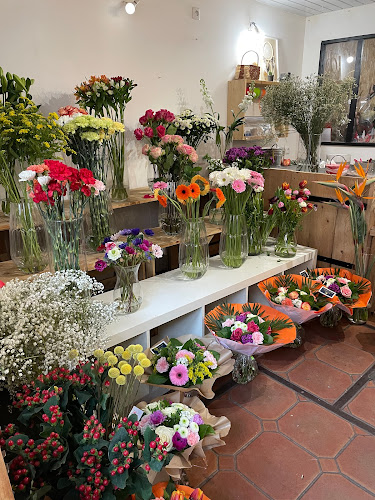 Comptoir des fleurs Lacaune