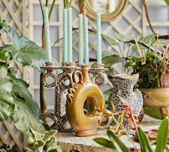 DEBEAULIEU Plantes et Objets