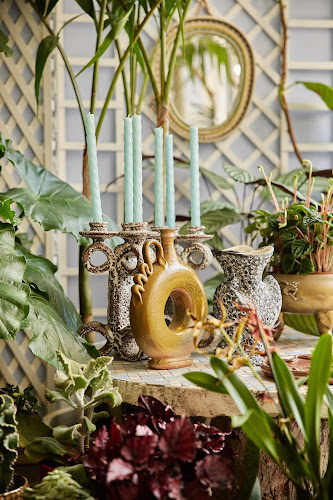 DEBEAULIEU Plantes et Objets