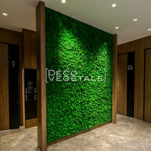 Deco Vegetale