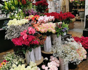 Des fleurs et des jardins