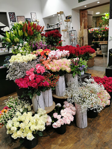 Des fleurs et des jardins