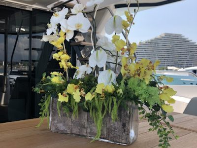 Design Christelle Aimar