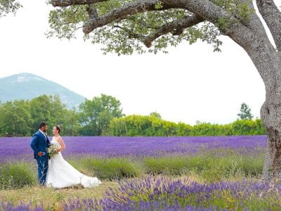 Domaine de Puyharas