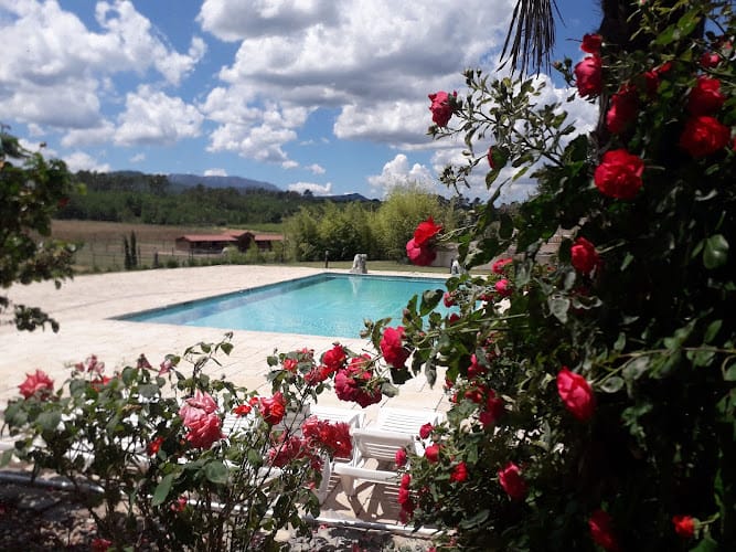 DOMAINE LE BILLARDIER