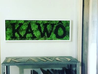 Écrin Végétal | Créations de plantes et végétaux stabilisés à Bouc-Bel-Air