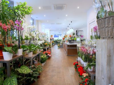 Elyfleur, Fleuriste Paris 17 ème