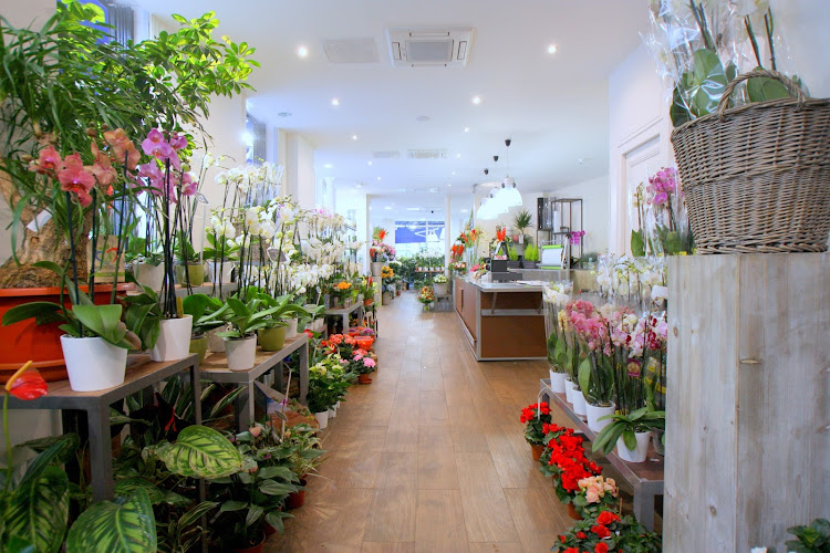 Elyfleur, Fleuriste Paris 17 ème